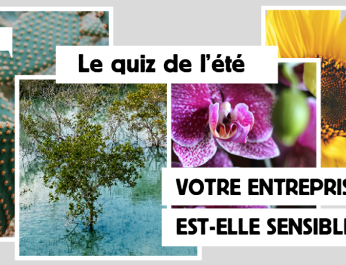 Quiz de l’été : votre organisation est-elle sensible ?