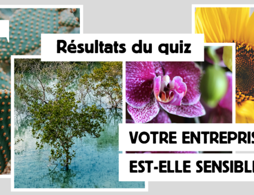 Résultats du quiz : votre organisation est-elle sensible ?